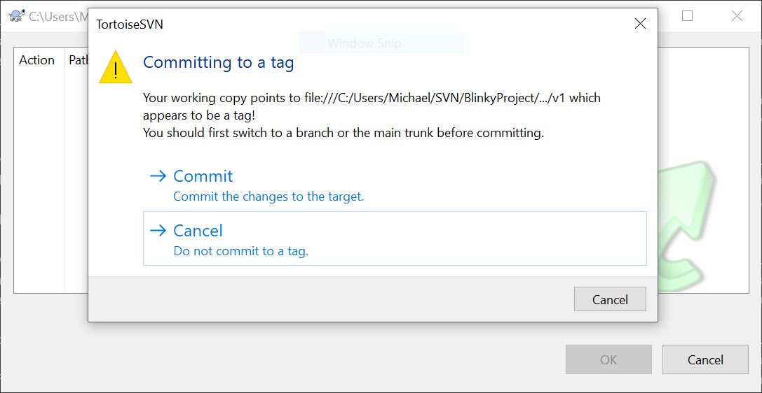 A TortoiseSVN warning message informing me that I'm trying to commit to a tag folder